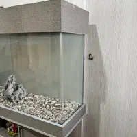 آکواریوم کمد دار|ماهی|شهریار, شهریار|دیوار