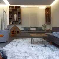 فرش شگی بزرگمهر درحدنو