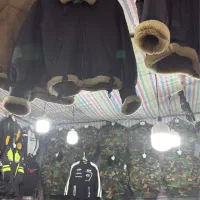 بوفالو گوشتی و چرم ..در همه سایز ها