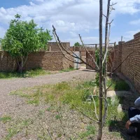 اجاره خانه ویلایی دراقابابا جاده رشت