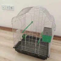 قفس تا شو عروس هلندی