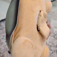 لاکپشت کهکشانی|اسباب‌بازی بچه|رشت, کوی مهر|دیوار