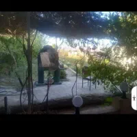 خانه باغ|فروش خانه و ویلا|گرمسار, |دیوار