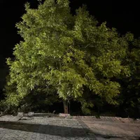 اجاره روزانه/هفتگی/ماهانه آپارتمان ۲۷۰ متری|اجارهٔ کوتاهمدت آپارتمان و سوئیت|شیرگاه, |دیوار