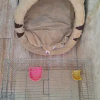 لانه جا خواب سگ و گربه  + قفس و پلت پرنده