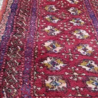 قالیچه ترکمن دستباف|فرش|بیرجند, |دیوار