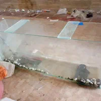 معاوضه|کنسول، بازی ویدئویی و آنلاین|زرند, |دیوار