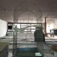 قفس پرنده وحیوانات کوچک