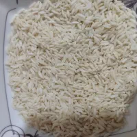 برنج علی کاظمی درجه 1
