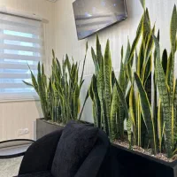 منشی مطب زیبایی و لیزر