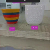 گل طبیعی وگلدان سانسوریا/ بنسای|حراج|قم, اسمعیل آباد|دیوار