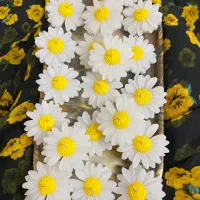 گیفت|صنایع دستی و سایر لوازم تزئینی|آبپخش, |دیوار