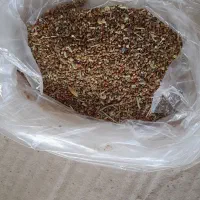 بذر یونجه|خدمات باغبانی و درختکاری|نهاوند, |دیوار