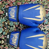 دستکش بوکس نو