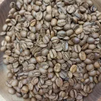 قهوه به قیمت عمده
