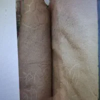 موکت|موکت|مشهد, کارگران|دیوار