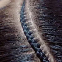 بافت مو رایگان|خدمات آرایشگری و زیبایی|سراوان, |دیوار