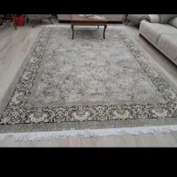 فرشها فقط 6ماه استفاده شده|فرش|همدان, |دیوار