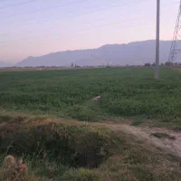 زمین فروشی مناسب باغ