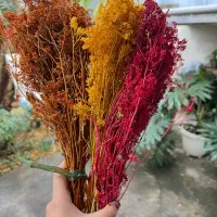 فروش عمده گل خشک به دلیل جمع اوری مغازه