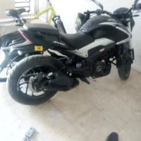 دومینار 250سال402