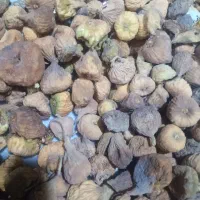 فروش دوتن شاه انجیر سایز متوسط پاک شده|عمده‌فروشی|میمند, |دیوار