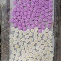 بهت آموزش میدم توی خونه پول دربیار|خدمات آموزشی|نیشابور, فیض آباد|دیوار