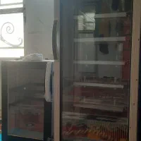دستگاه جوجه کشی بلدرچین دماوند