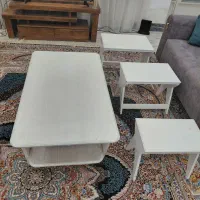 فروش گل میز مبلی