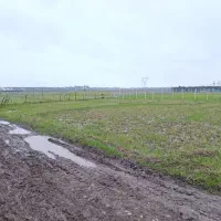 شالیزار در موقعیت خوب در پلاسی|فروش زمین و ملک کلنگی|چوبر, |دیوار