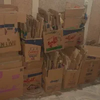 کارتن ضایعات