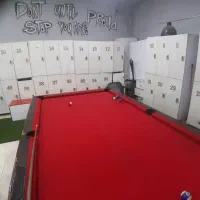 میزبلیاردترک سالم