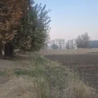 ۱۹۰۰۰ هزار متر زمین سنددار چهاردانگه گلشهر|فروش زمین و ملک کلنگی|چهاردانگه (تهران), |دیوار