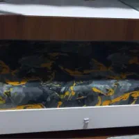 تخت و میز تحریر دو طبقه نوجوان بسیار شیک و محکم