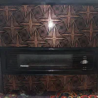 بخاری در حد