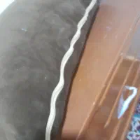 یکعدد تکیه گاه مبل دونفره مخمل قهوه‌ای 46در1مترنو|مبلمان خانگی و میز عسلی|شیراز, اصلاح‌نژاد|دیوار