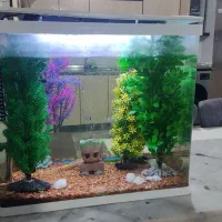 آکواریوم k500دلسا