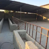 اجاره دامداری تنب گوراب برازجان فول امکانات|اجارهٔ خانه و ویلا|برازجان, |دیوار