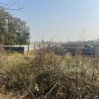 زمین مسکونی ۲۸۰ سندتک برگ اطراف رشت