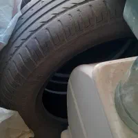 لاستیک ساینا