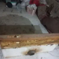 هود آشپزخانه|هود|گرگان, |دیوار