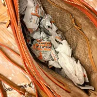 کیف برند دلسی|کیف، کفش، کمربند|ساری, |دیوار