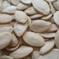 فروش تخمه کدو