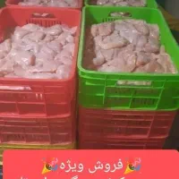 کارگر ساده و کمک آشپز و پیک موتوری