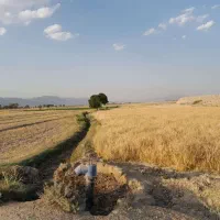 اجاره ملک کشاورزی