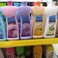 محصولات loyal با کف قیمت بندرعباس