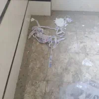 نظافت راه پله .منزل .تمام ارگان ها|خدمات نظافت|تهران, سبلان (لشگر)|دیوار