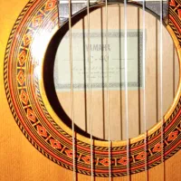 گیتار درحد|گیتار، بیس، امپلیفایر|کرج, اسدآباد|دیوار