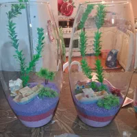 فروش تنگ ماهی