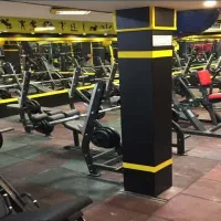 مربی آقا برای باشگاه بدنسازی منظریه